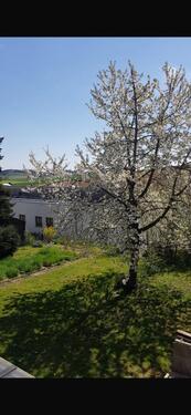 Foto - 2 Zimmer Erdgeschoßwohnung zur Miete in Velden