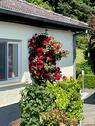 Foto - 7 Zimmer Einfamilienhaus zum Kaufen in Weimar (Lahn)