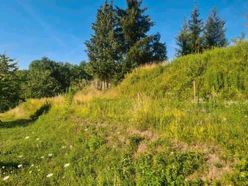 Foto - Freizeit Grundstück Garten - 100,00 EUR Kaltmiete, ca.  0,00 m²