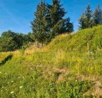 Freizeit Grundstück Garten - 100,00 EUR Kaltmiete, ca.  0,00 m² in Lahr (Schwarzwald) (PLZ: 77933)