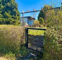 Kleingarten in liebevolle Hände abzugeben (Leipzig-Thekla)