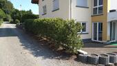 Foto - Einliegerwohnung ruhige Lage in kirchweiler ab 1.3.2026