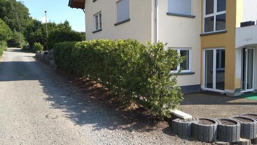 Foto - Einliegerwohnung ruhige Lage in kirchweiler ab 1.3.2026