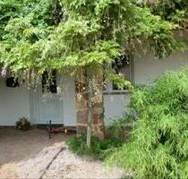 2 Zimmer Küche,Bad, Wohnung 62qm - Felsberg