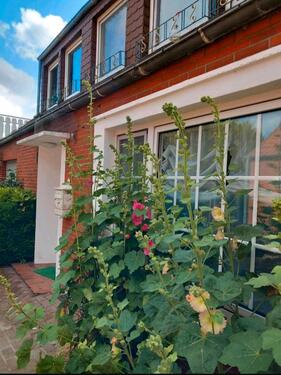 Foto - 2 Zimmer Etagenwohnung zur Miete in Krummhörn