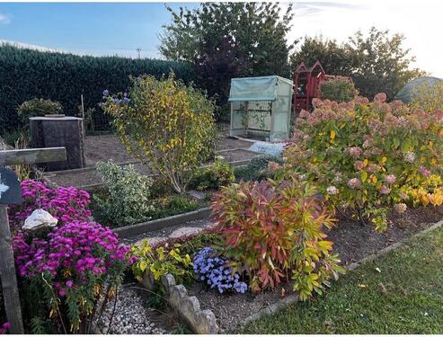 Foto - Garten in kleiner Kleingartenanlage