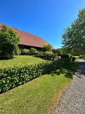 Foto - Bauernhaus, Landhaus in Meßkirch zum Kaufen