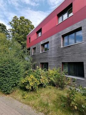 Foto - 2,5 Zimmer Eigentumswohnung Wulfsdorf