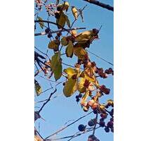 Wohnung zu vermieten füssen Center