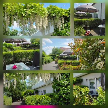 Foto - andere in Dresden