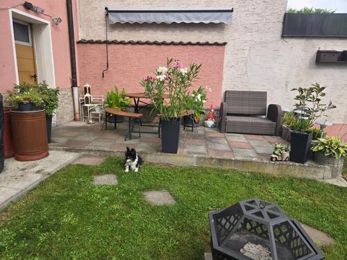 Foto - Reihenhaus in Burglengenfeld zum Kaufen