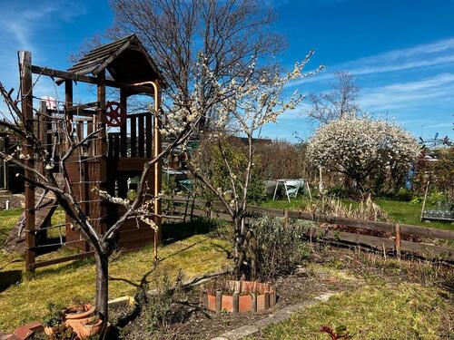 Foto - Familiengeeigneter Kleingarten im Leipziger Westen