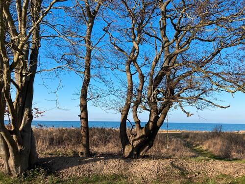 Foto - andere in Schönberg (Holstein)
