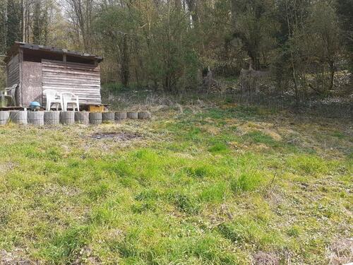 Foto - Garten in Hemsbach Eppenweg zu verpachten.