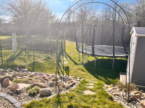 Foto - Reihenhaus in Guben zum Kaufen