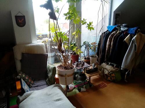 Foto - EINE DACHGESCHOSSWOHNUNG AB 01.06 ZU VERMIETEN.
