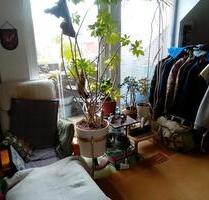 EINE DACHGESCHOSSWOHNUNG AB 01.06 ZU VERMIETEN. - Buxtehude