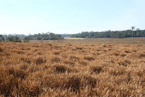 Foto - Einfamilienhaus in Reichshof zum Kaufen