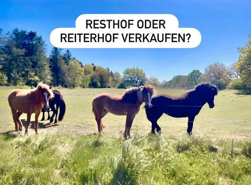Foto - Reiterhof Bauernhof zu verkaufen ? Ackerland Pferdehof