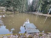 Foto - Angel Teich Fischteich Angel Teich Pacht 180€,- mtl 2.160€