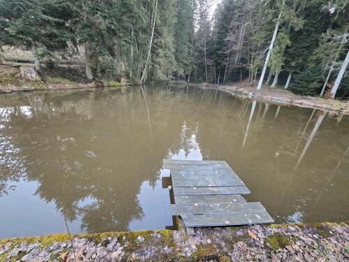 Foto - Angel Teich Fischteich Angel Teich Pacht 180€,- mtl 2.160€