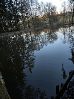 Foto - Grundst&uuml;ck in Gschwend zur Miete