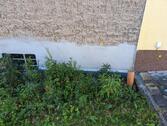 Foto - Doppelhaushälfte in Jena zum Kaufen