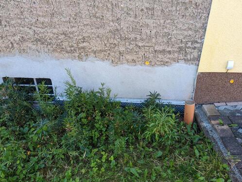 Foto - Doppelhaushälfte in Jena zum Kaufen