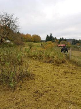 Foto - Grundstück zur Miete in Zell im Wiesental