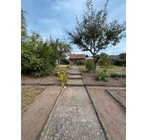 Kleingarten in schöner Lage abzugeben - Braunschweig Lehndorf-Watenbüttel