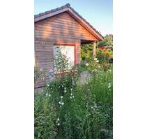 Kleines Holzhaus - 109.000,00 EUR Kaufpreis, in Syke (PLZ: 28857)