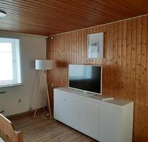 1 Zimmer Wohnung mit Terrasse an Firmen oder Privat zu vermieten - Hochdorf-Assenheim