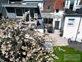 Foto - 8 Zimmer Einfamilienhaus zum Kaufen in Taunusstein