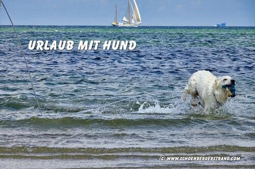 Foto - Urlaub mit Hund Ostsee Schönberger Strand 11.04. - 18.04.2026