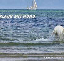Urlaub mit Hund Ostsee Schönberger Strand 11.04. - 18.04.2026 - Schönberg (Holstein)
