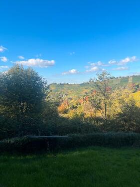 Foto - Gartengrundstück Stgt-Uhlbach - 100,00&nbsp;EUR Kaltmiete, ca.&nbsp; 0,00&nbsp;m&sup2;