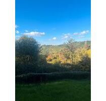 Gartengrundstück Stgt-Uhlbach - 100,00&nbsp;EUR Kaltmiete, ca.&nbsp; 0,00&nbsp;m&sup2; in Lorch (PLZ: 73547)