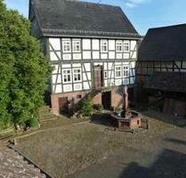 Bauernhof Bauernhaus 1ha Grundstück Landwirtschaft Herrenhaus - Borken (Hessen)