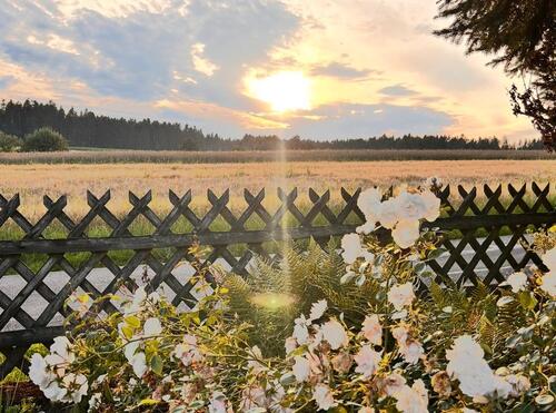Foto - Wunderschönes Schwarzwaldhäusle in fast Alleinlage