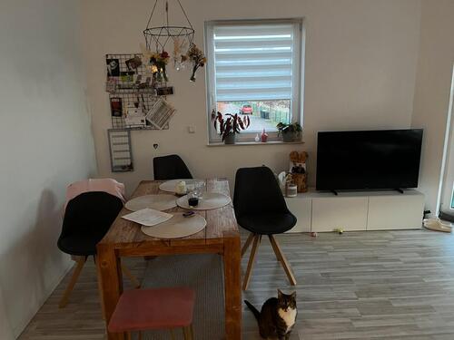 Foto - 4 Zimmer Etagenwohnung in Greifswald