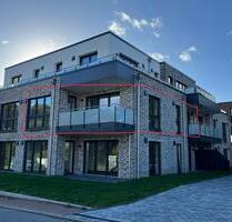 3 Zi. Neubau Wohnung barrierearm Wacken zu vermieten Erstbezug