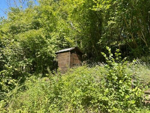 Foto - Einfamilienhaus in Lügde zum Kaufen