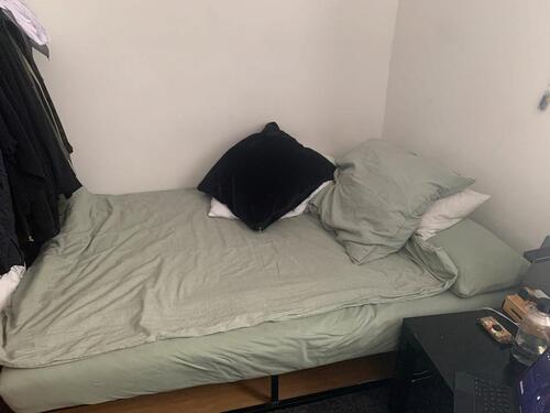 Foto - 1 Zimmer Hochparterre in Greifswald