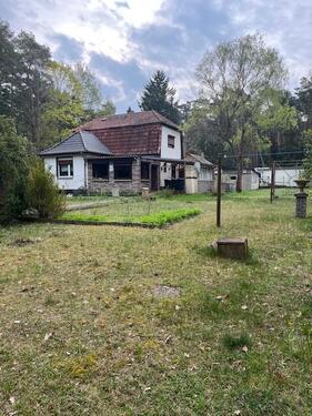 Foto - Einfamilienhaus zum Kaufen in Beelitz