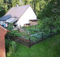 Haus am Wald (bitte alles lesen) ANFRAGE-STOP! - Westerkappeln