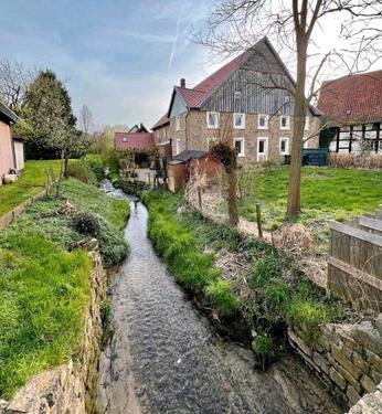 Foto - 7 Zimmer Einfamilienhaus zur Miete in Bad Salzuflen