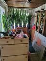 Foto - Einfamilienhaus in Rangsdorf zum Kaufen