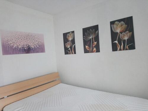 Foto - Ideal für Studenten: Einliegerwohnung in Doppelhaushälfte