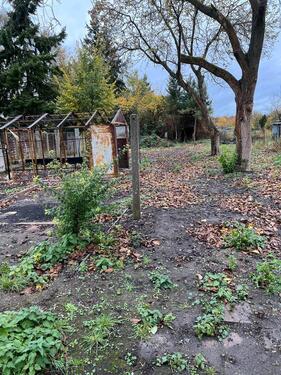 Foto - 3 Zimmer Doppelhaushälfte zum Kaufen in Frankfurt (Oder)