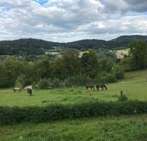 Pferdeparadies im Vorderen Bayerischen Wald - Straubing